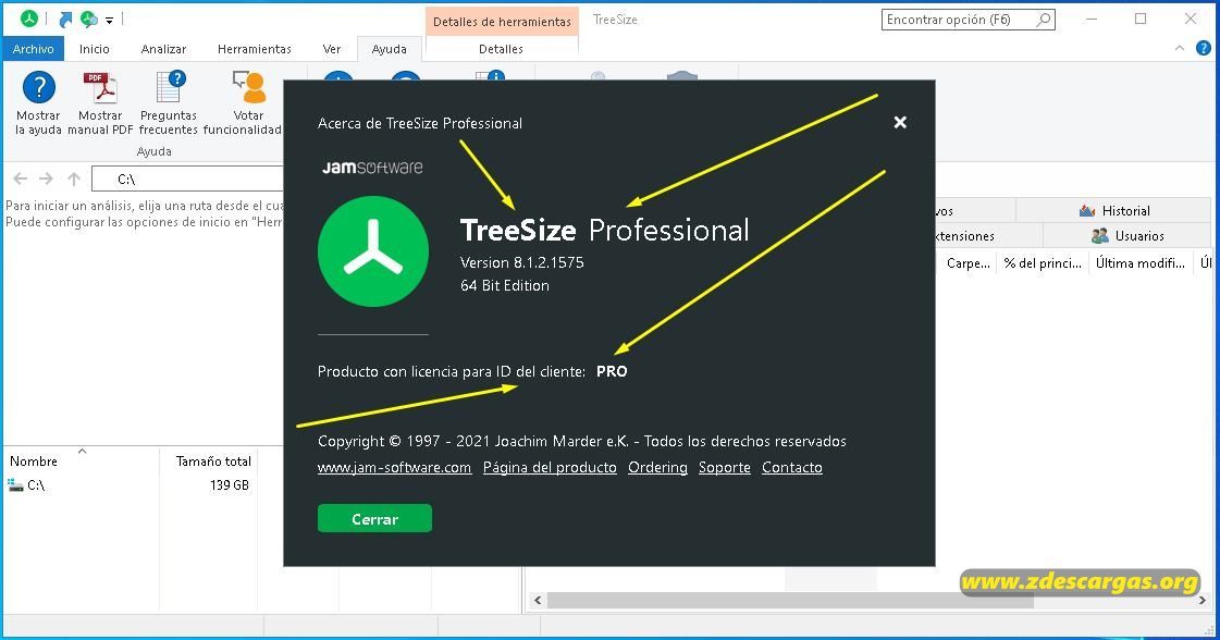 TreeSize Professional Full Español