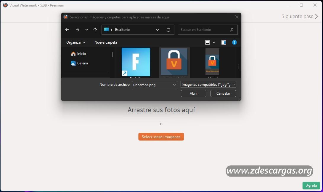 Visual Watermark Full Español