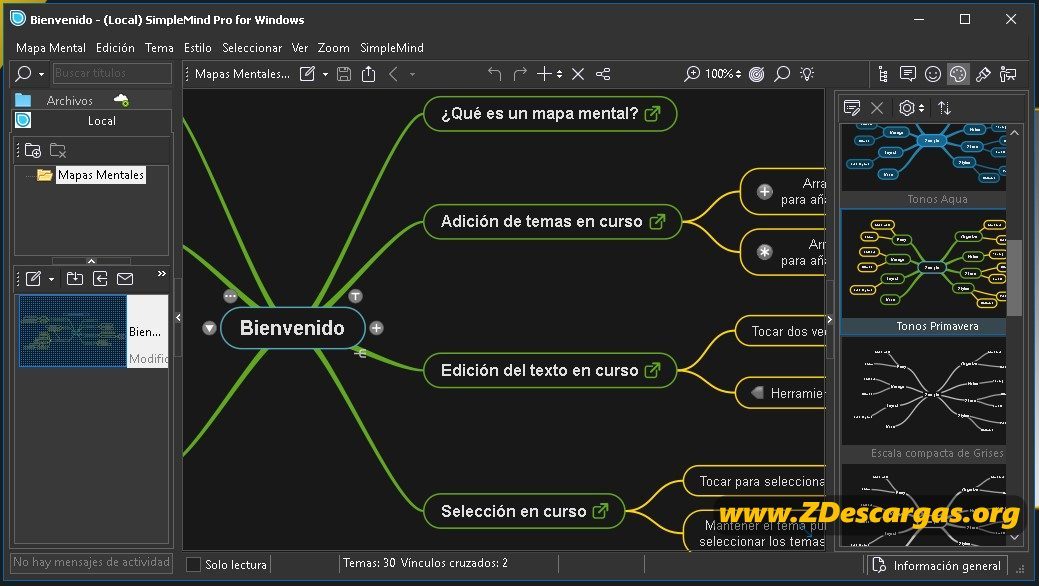programa para crear mapas mentales