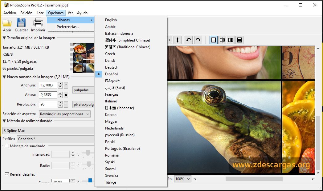 Benvista PhotoZoom Pro Full 2023 Benvista PhotoZoom Pro Full 2023